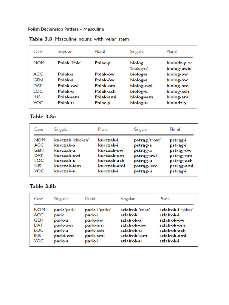 Polish Declension Patters – Masculine | PDF
