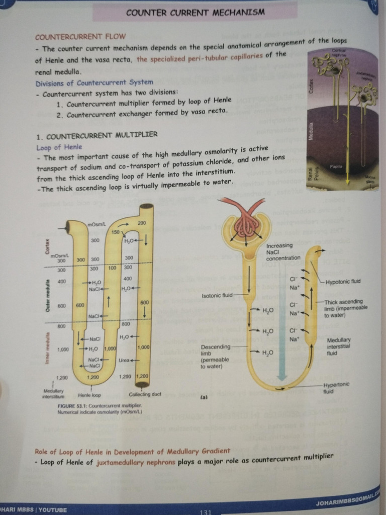 Johari Physiology Counter Current Mechanism | PDF
