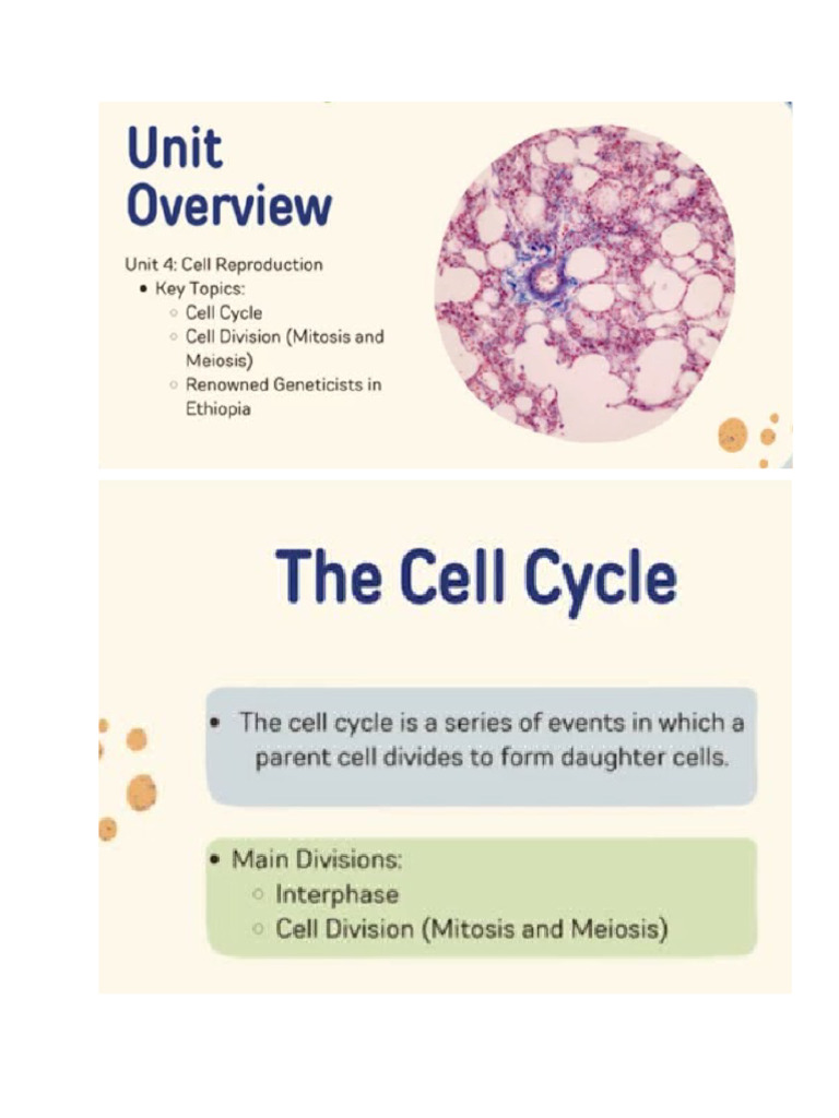 Biol10 Grade Unit 4 Notes | PDF