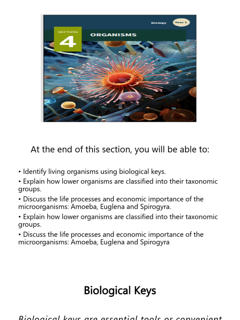 Section 4 -Organisms Classification | PDF | Taxonomy (Biology) | Genus
