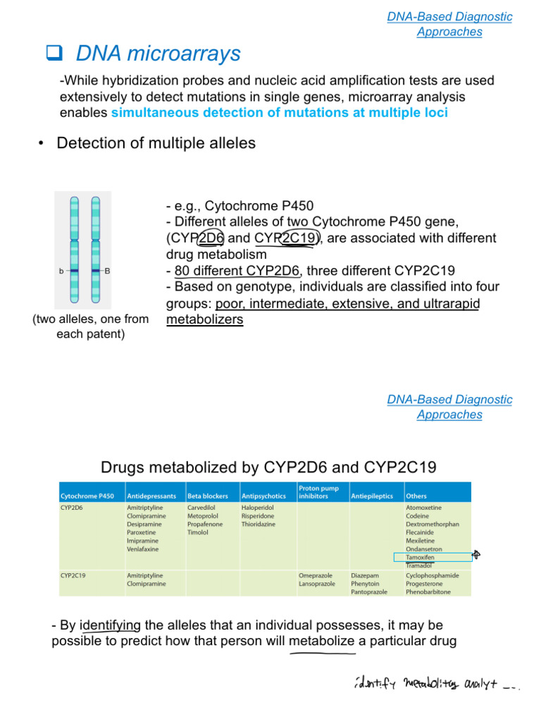 6 c04 (B)_240414_011229 | PDF | Dna Methylation | Gene Expression