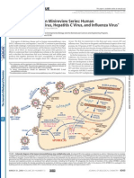 Virus-Host Interaction h5n1