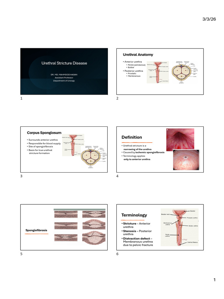Stricture Urethra | PDF | Medical Specialties | Clinical Medicine