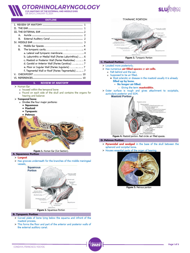 [ENT] P.01 Anatomy of the External and Middle Ear | PDF | Ear | Common ...