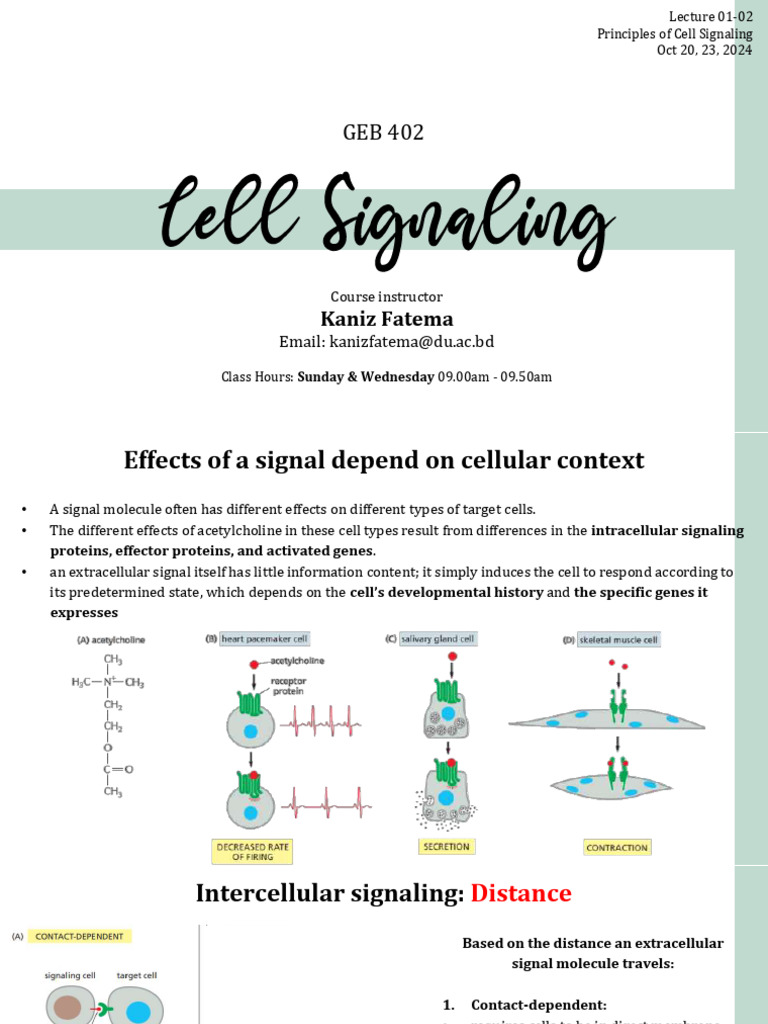 GEB 402_Lec 2_Principles of Cell Signaling | PDF | Cell Signaling | Synapse