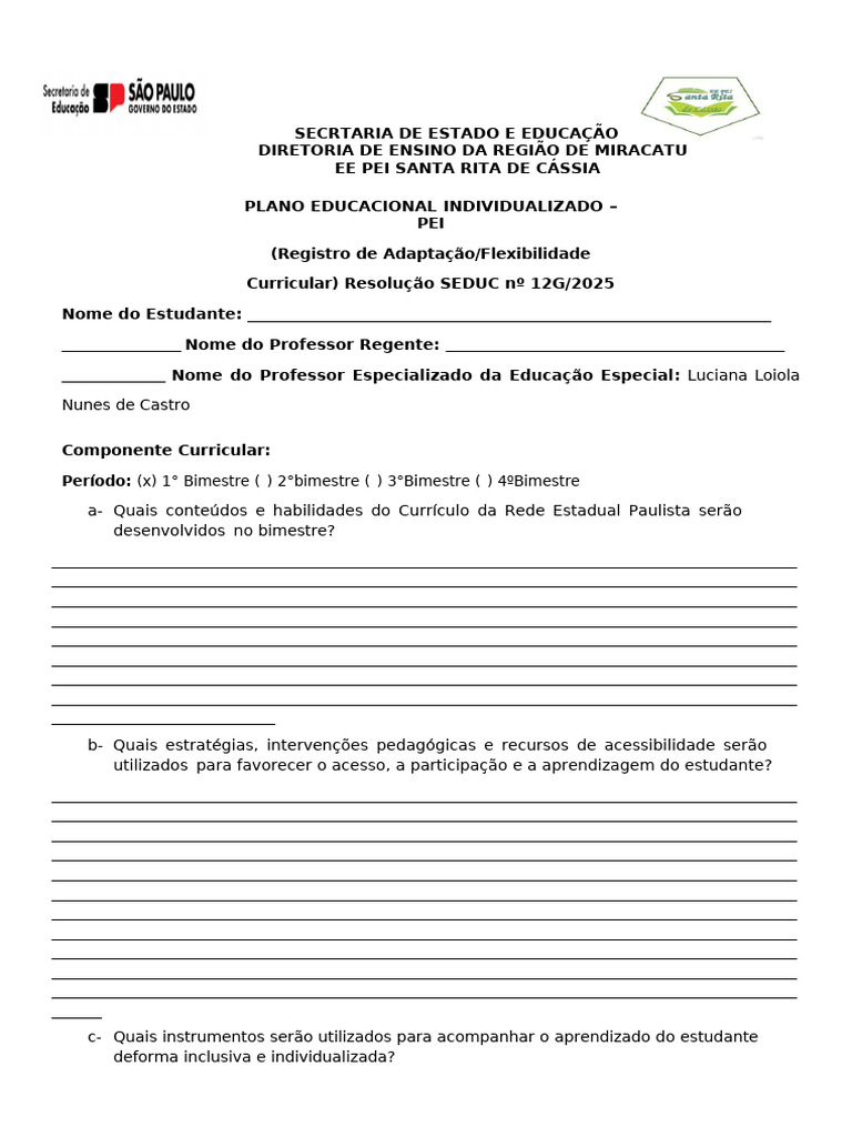 Modelo Pei Plano Educacional Individualizado 26 | PDF