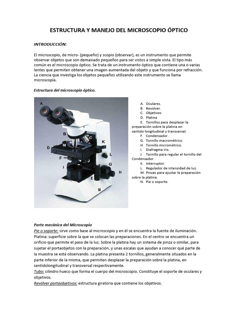 Estructura y Manejo Del Microscopio Óptico (1) | PDF | Microscopio | Óptica