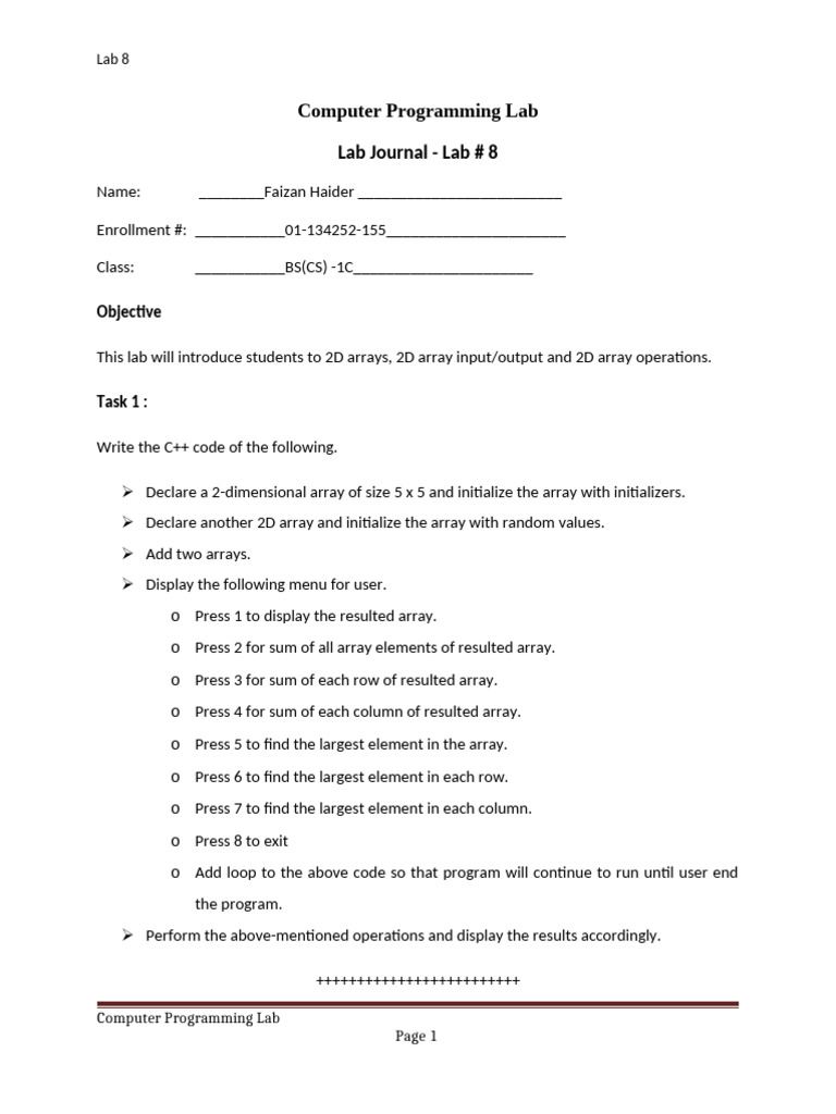 Journal-11 Faizan 155 | PDF | Computer Science | Computer Programming