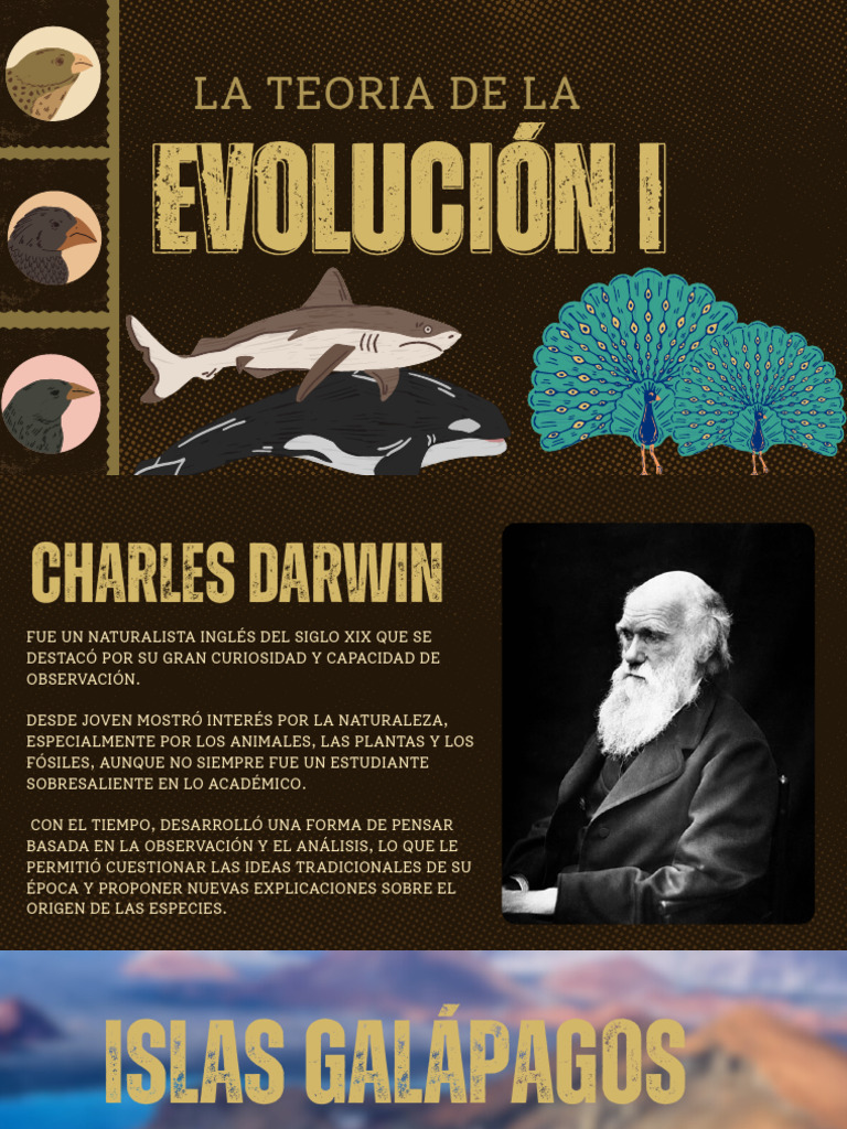 Teoría de La Evolución 1 | PDF | Evolución | Seleccion natural