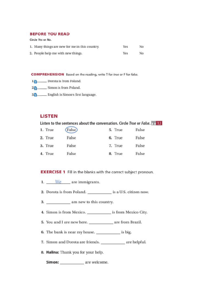 Grammar Exercises | PDF