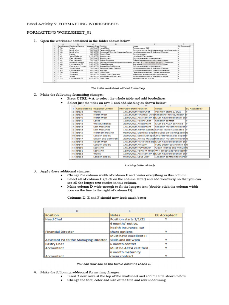 Formatting Worksheet 0 | PDF