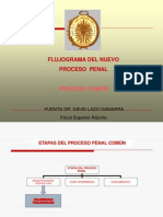 Flujograma de Etapas en El NCPP