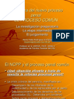 MPR - Estructura NPP - Proceso Común (1)