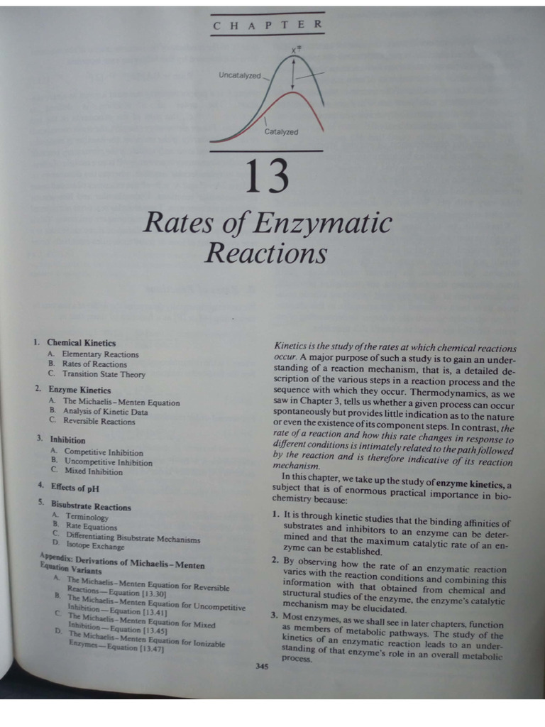 Notes on Enzyme Kinetics | PDF