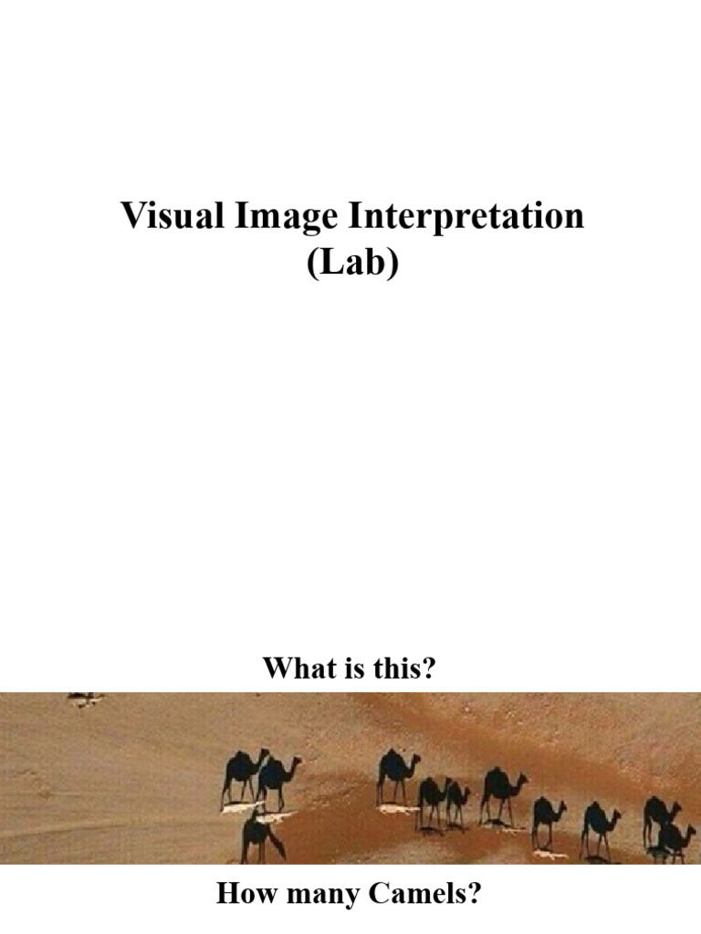 8_Lab-1-Visual Image Interpretation Elements | PDF