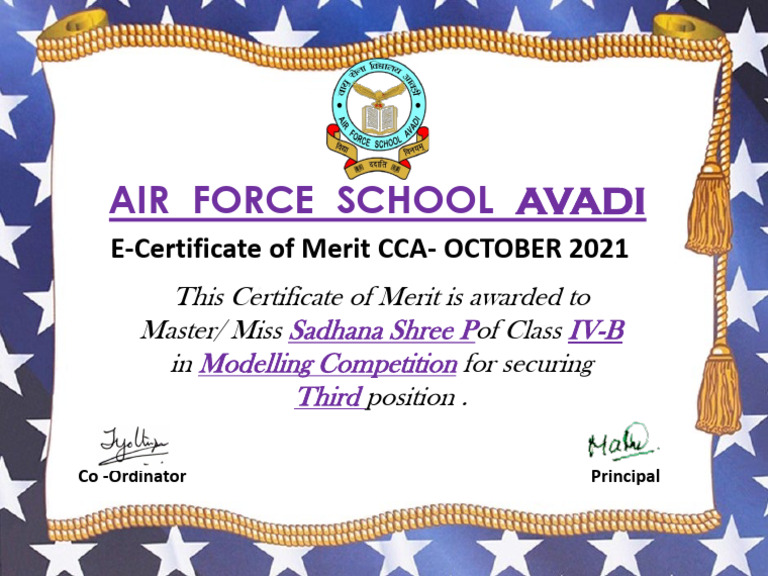 Modelling Competition 18 | PDF