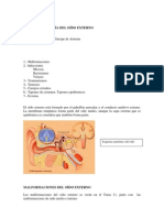 Tema 3 Patologia Oido Externo