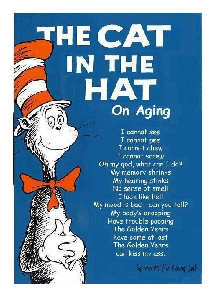 DR Seuss I Love My Job Poem PDF