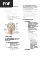 IJV vs EJV: Key Differences Explained | PDF | Vein | Human Anatomy