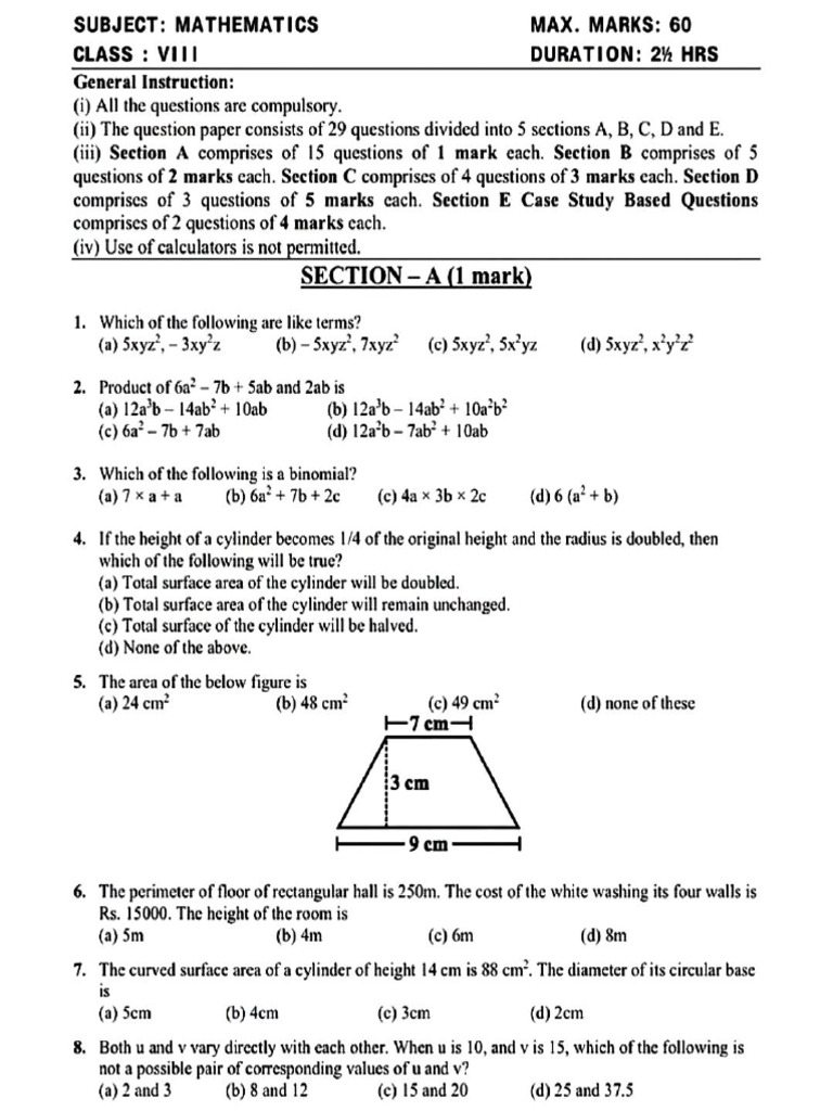 Sample Paper 2 Class 8 | PDF