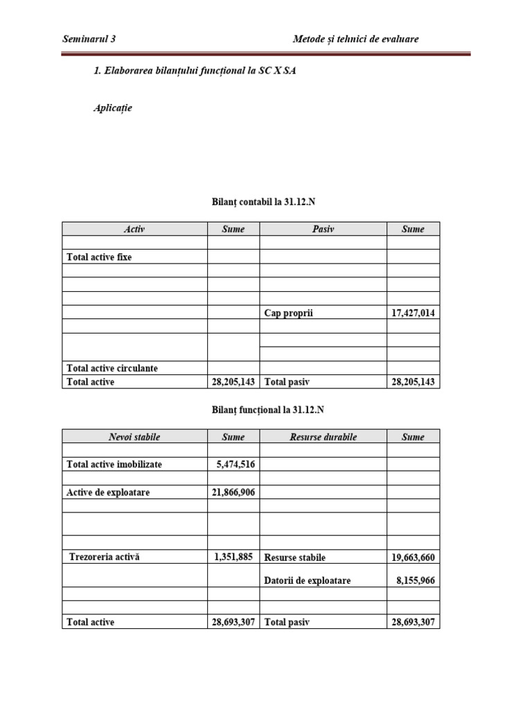 Seminarul 3 Bilant Funcțional | PDF