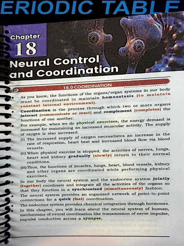 Neural control and coordination | PDF