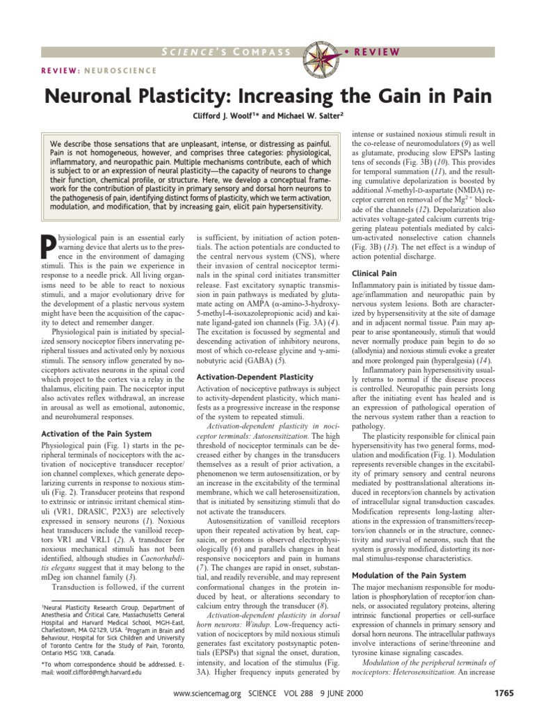 Neuronal Plasticity - Increasing the Gain in Pain | PDF | Synaptic ...