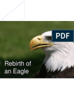 Rebirth of The Eagle