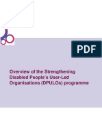 Strengthening DPULOs Programme Overview