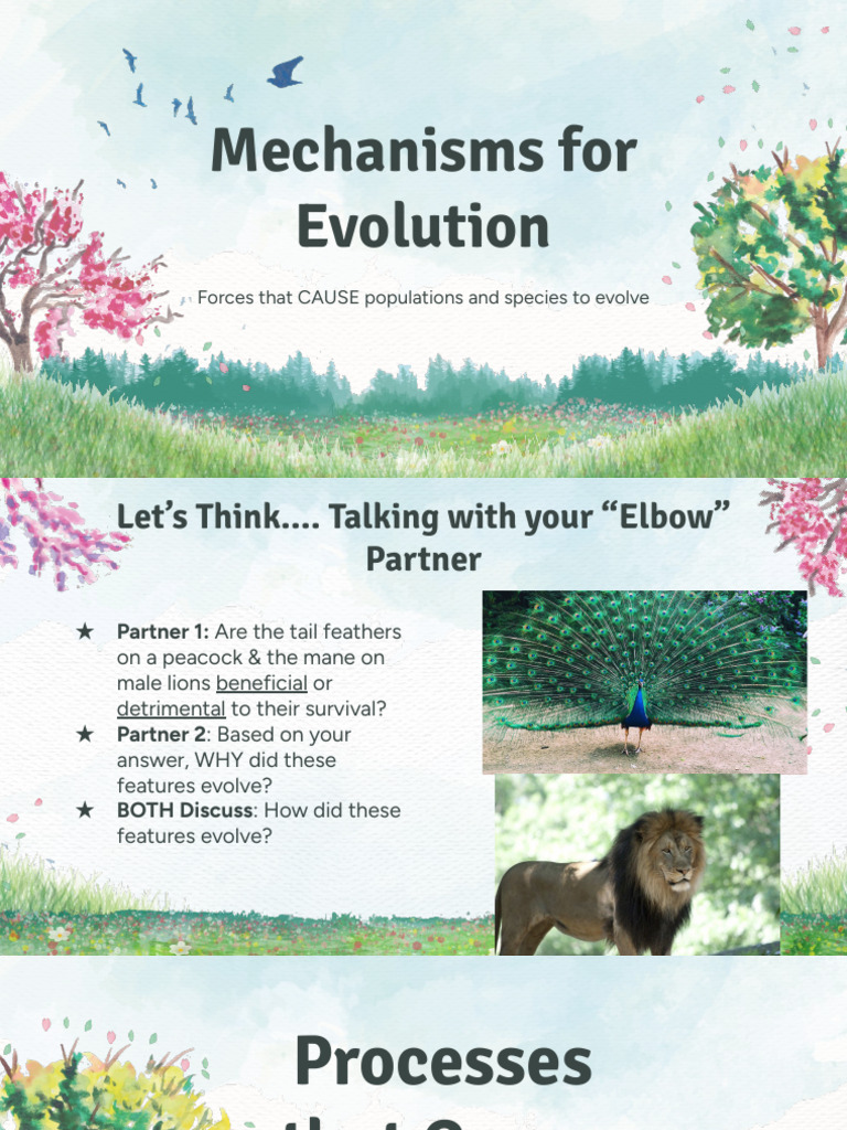 Copy of Mechanisms for Evolution Notes - 2026 (1) | PDF | Natural ...
