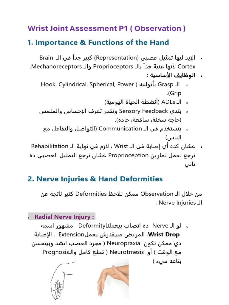 Section 6 Ortho P2 ( Wrist Joint Assessment P1 ) | PDF
