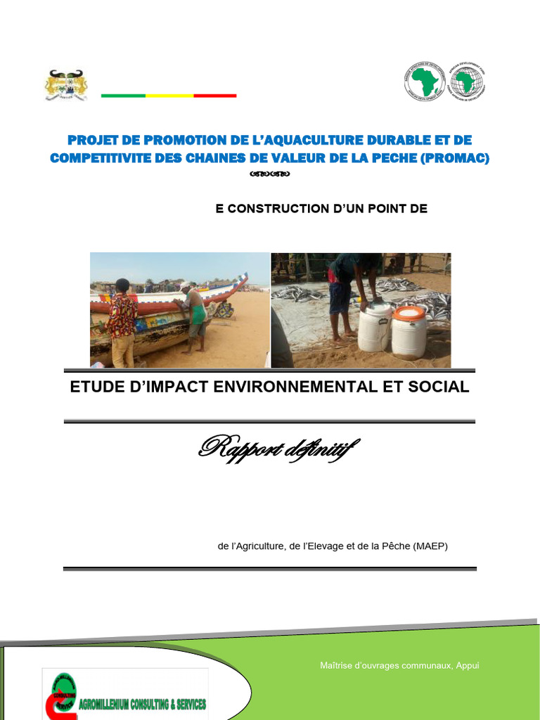 Eies Promac Pda Ayiguinnou Rapport Provisoire | PDF | Environnement ...