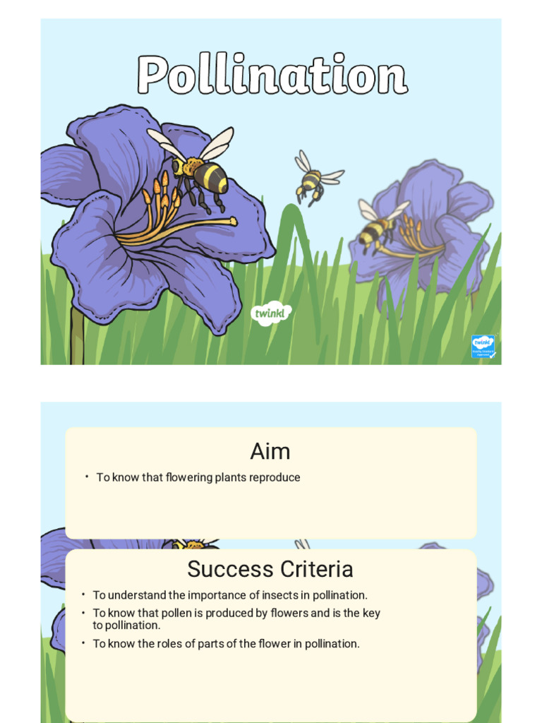 pollination ks2 ppt | PDF | Pollination | Flowers