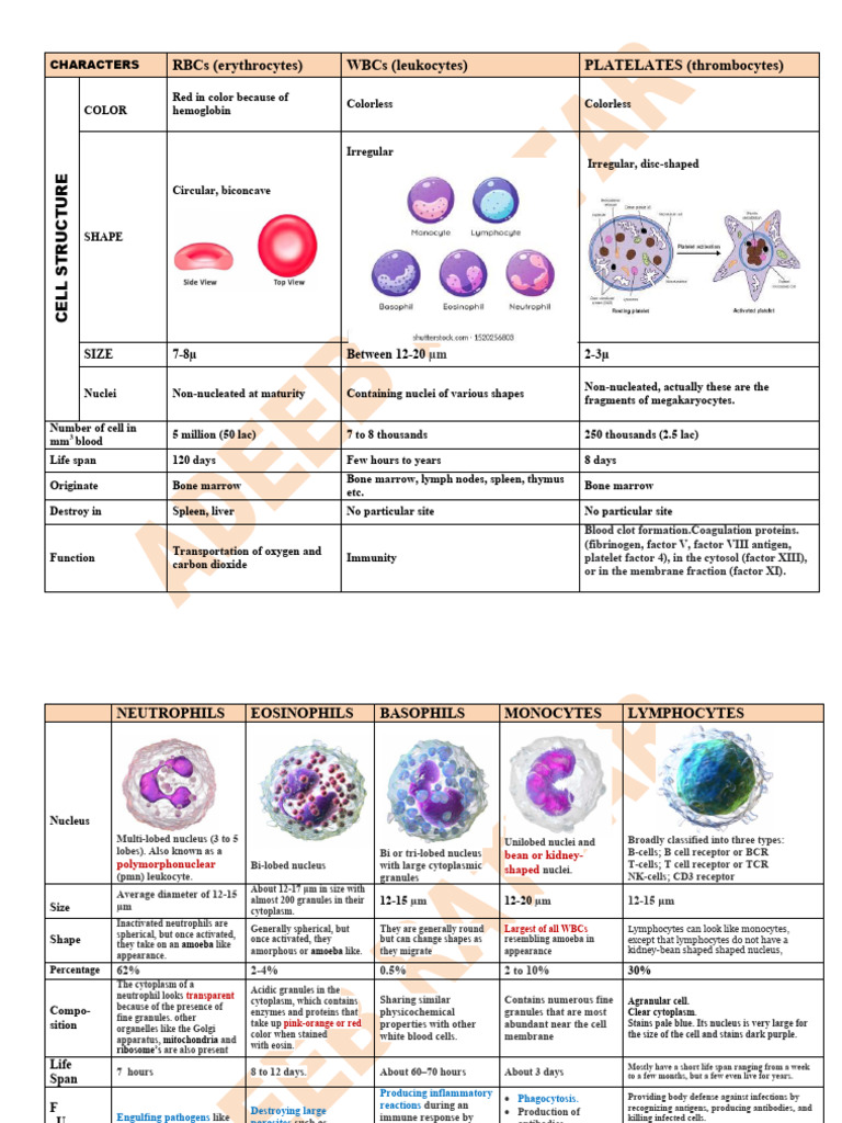 blood chart | PDF