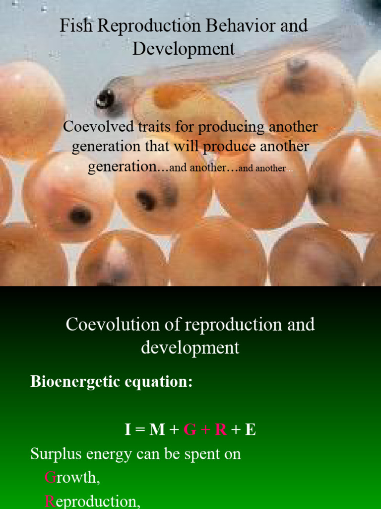 Reproduction on Fish and Life History Oceper | PDF | Sex | Reproductive ...