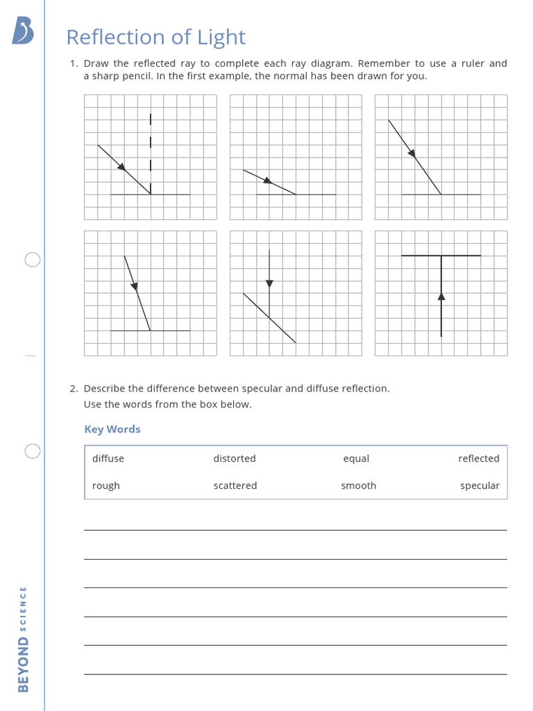 Reflection Homework Worksheet | PDF