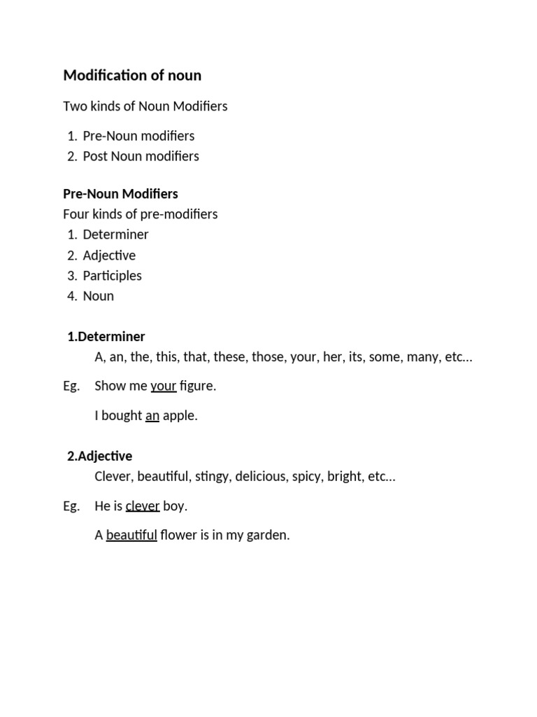 Modification of Noun | PDF