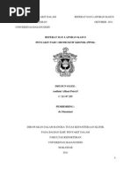 Download PPOK by Andini Afliani Putri SN102166564 doc pdf