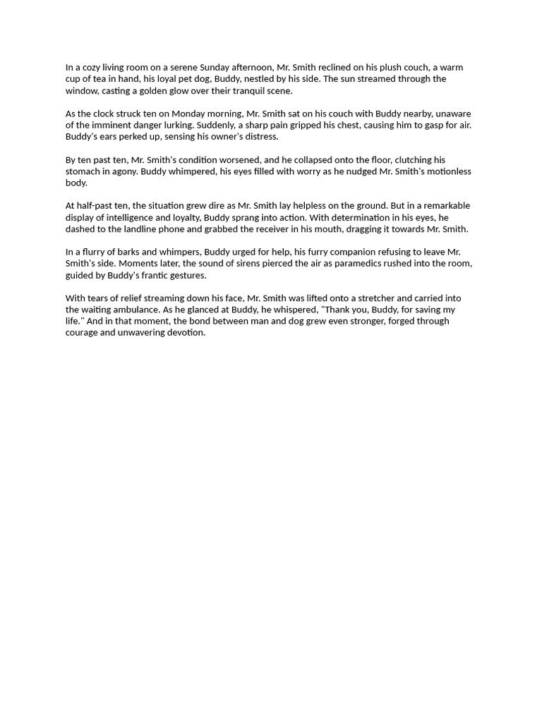 2004 Essay on a Recount Based on a Picture | PDF