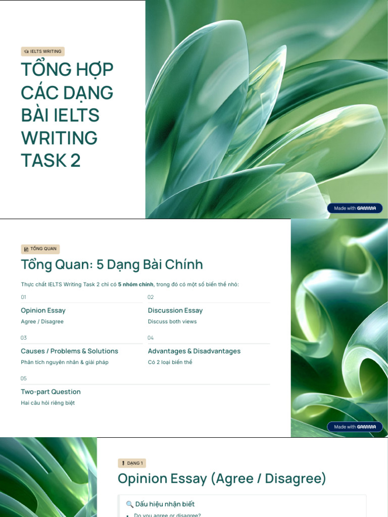 Tong Hop Cac Dang Bai Ielts Writing Task 2 | PDF