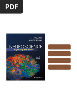 Neuroscience Exploring The Brain 4th Edition by Bear Mark F Mark F