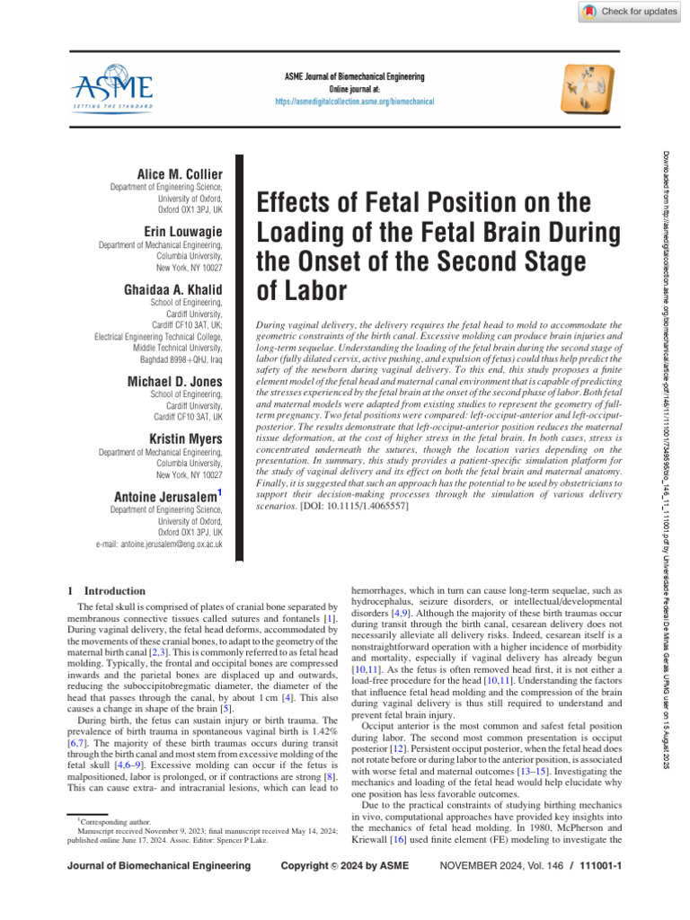 Effects of Fetal Position on the Loading of the Fetal Brain During the ...