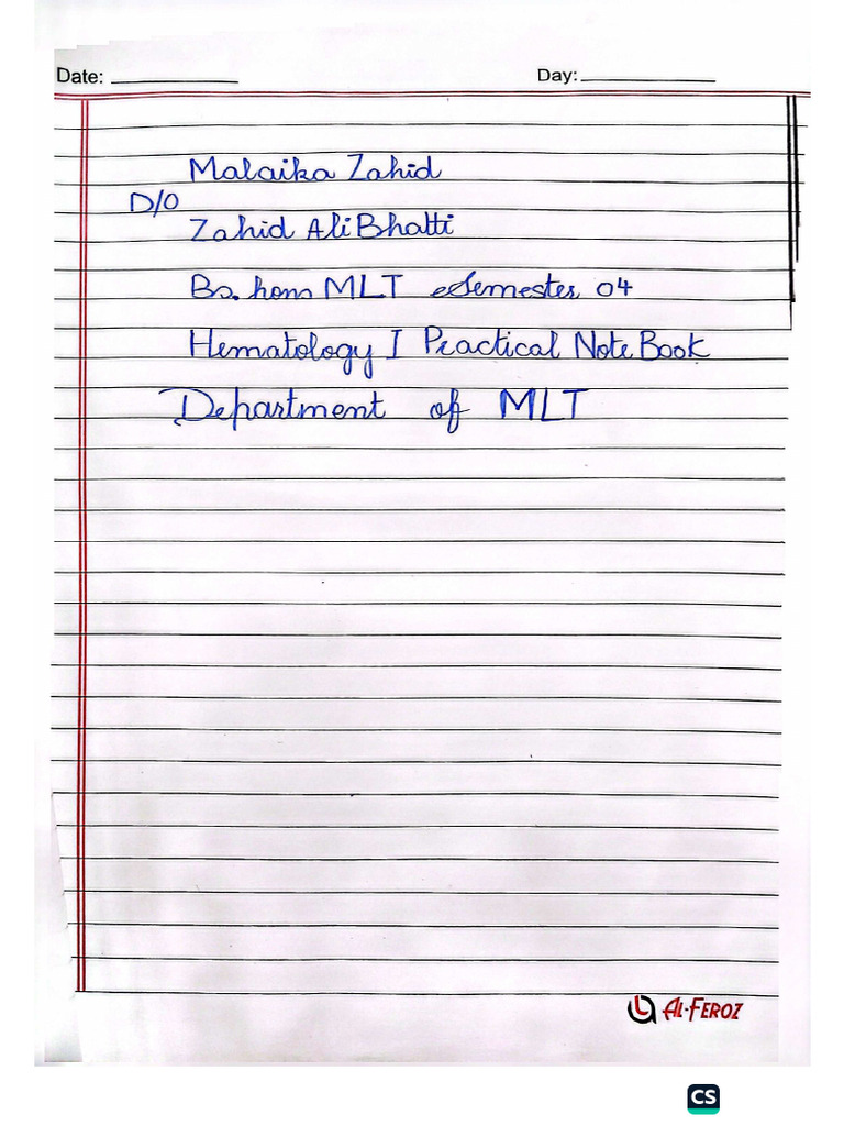 Practical Copy (3) | PDF