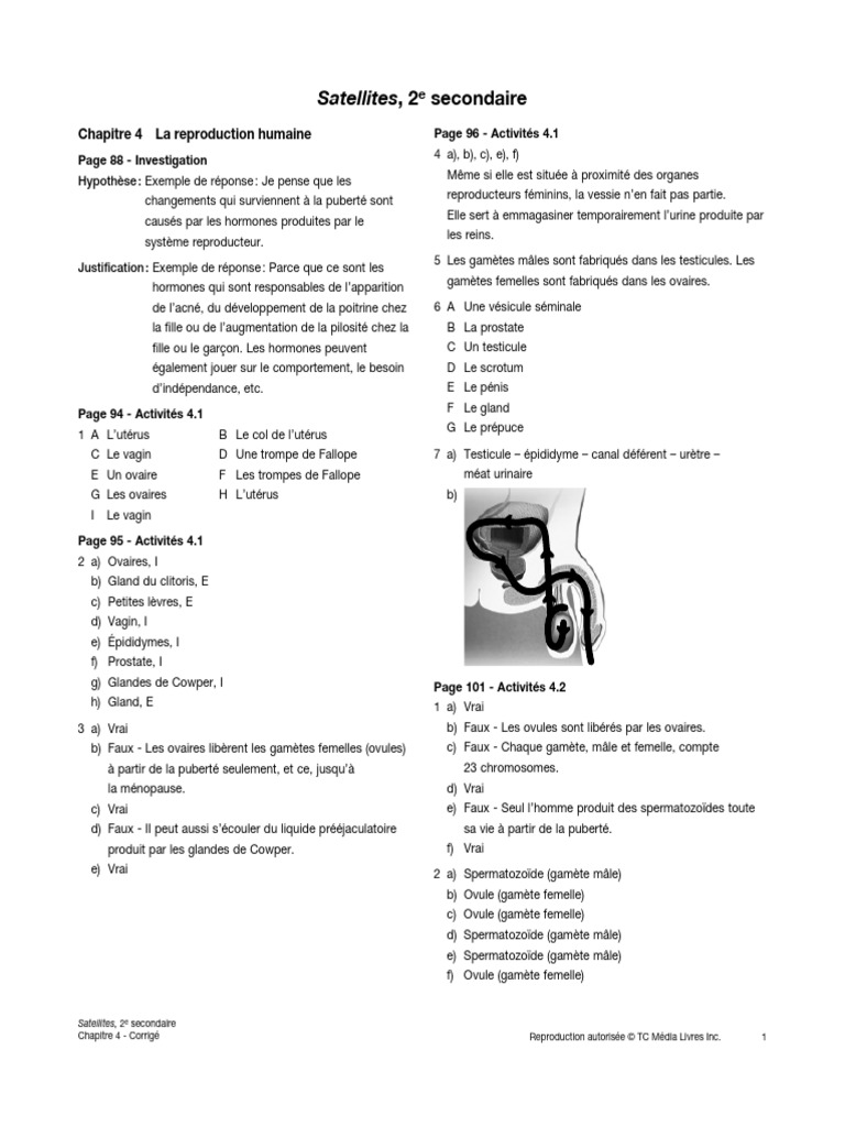 Satellites2 Chap4 Reponse Final 1733345813 | PDF | Reproduction humaine ...