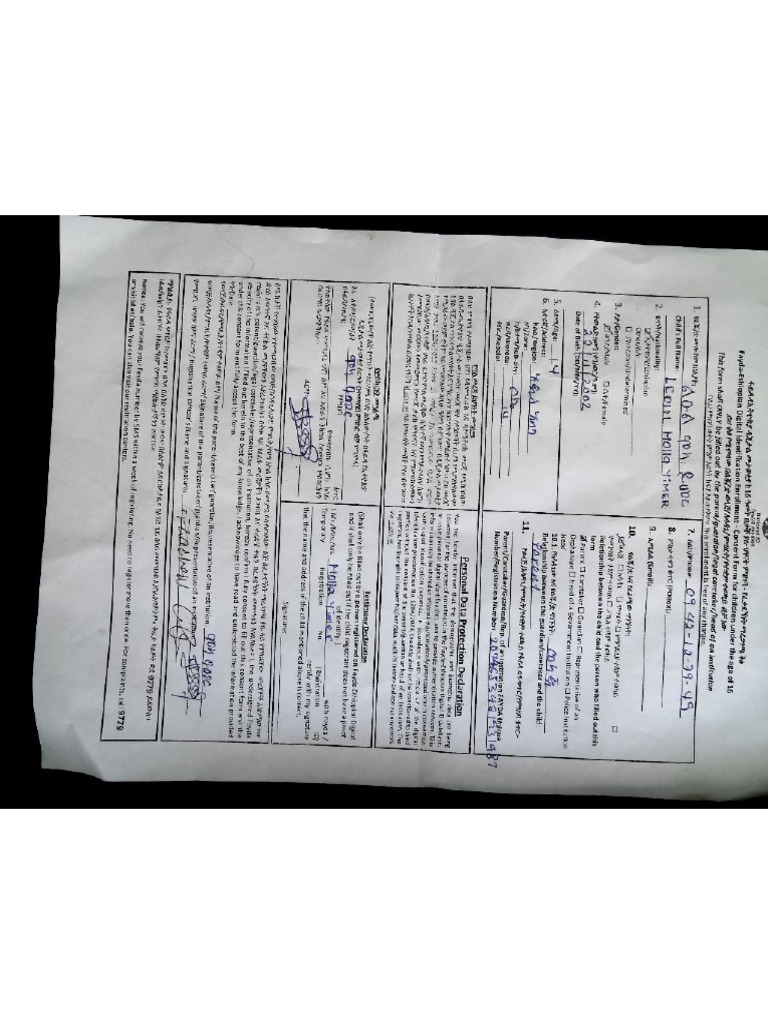 Consent Form | PDF