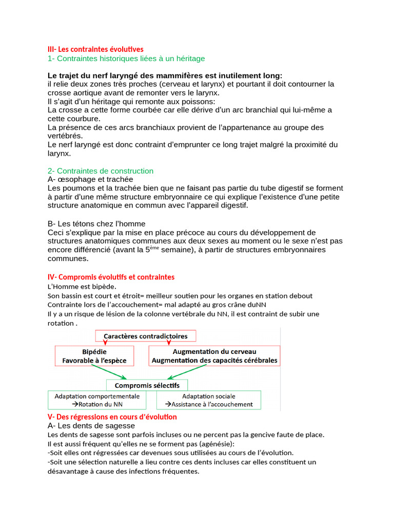 Cours Contraintes Et Compromis | PDF