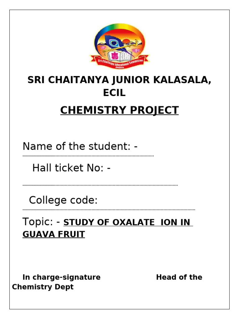 Che Project Certificate | PDF