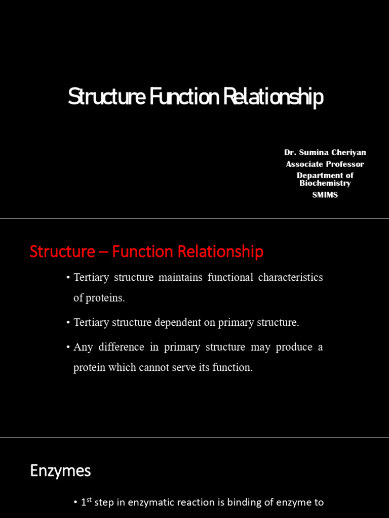Structure Function Relationship | PDF