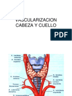 Medicina Anatomiavascularizacioncabezaycuello