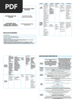 Anatomía y partes de la tibia | PDF | Anatomía humana | Anatomía del ...
